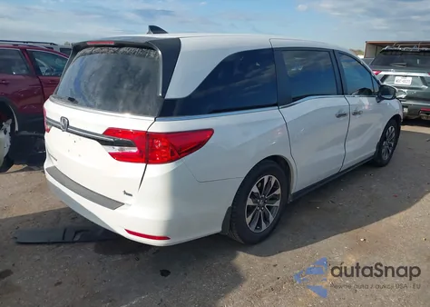 2023 Honda Odyssey Ex-L z USA, uszkodzony, nr VIN 5FNRL6H61PB041369